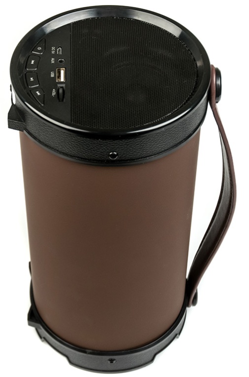 Акустическая портативная колонка Dialog Progressive AP-1000 - фото2 Акустическая портативная колонка Dialog Progressive AP-1000 - фото2