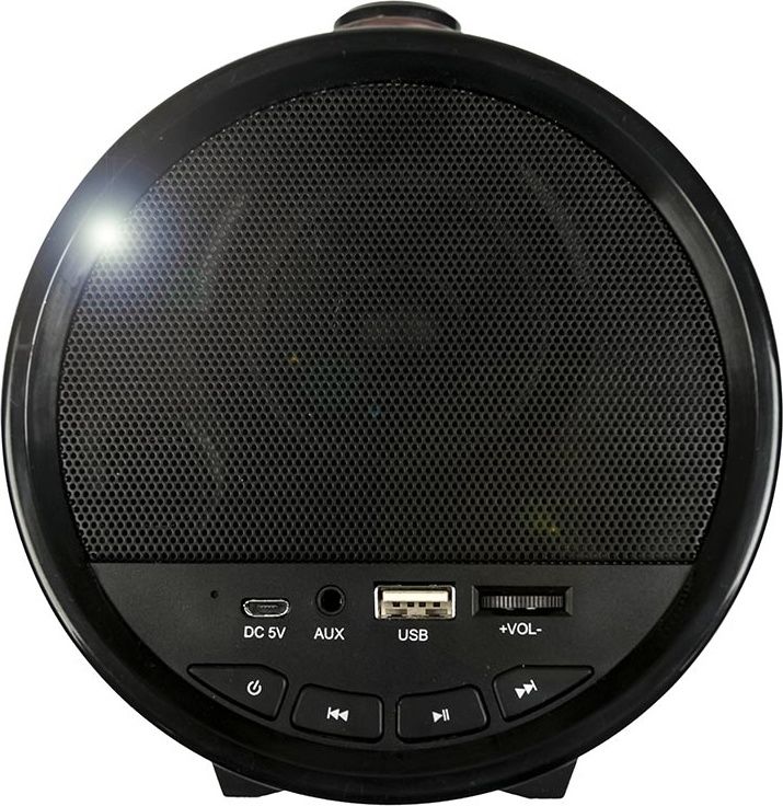 Акустическая портативная колонка Dialog Progressive AP-1000 фото-3 Акустическая портативная колонка Dialog Progressive AP-1000 фото-3