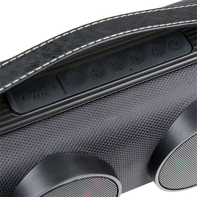 Акустическая портативная колонка Dialog Progressive AP-12 - фото2 Акустическая портативная колонка Dialog Progressive AP-12 - фото2