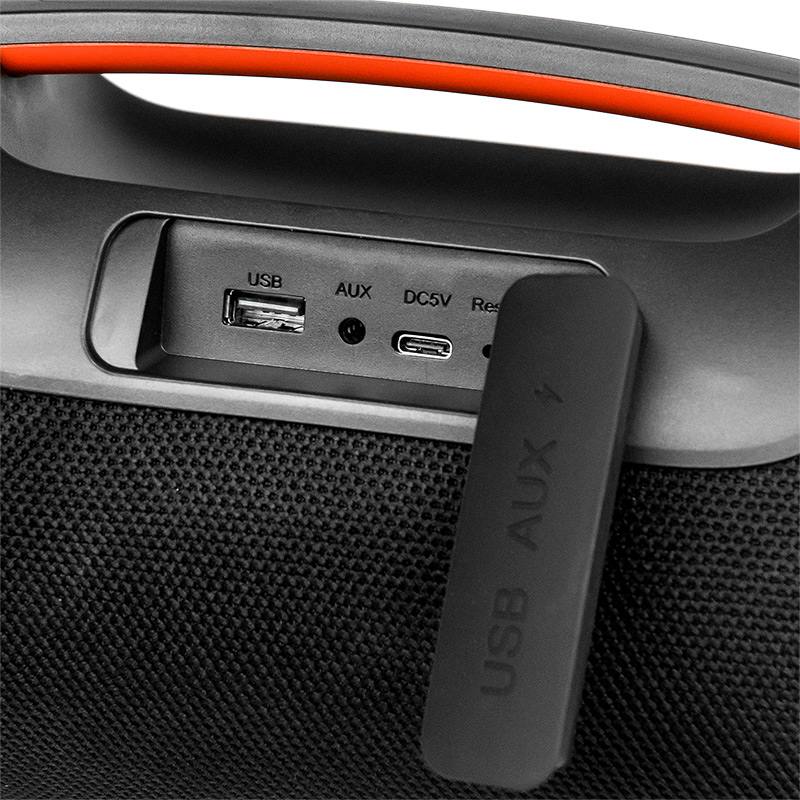 Акустическая портативная колонка Dialog Progressive AP-30 фото-3