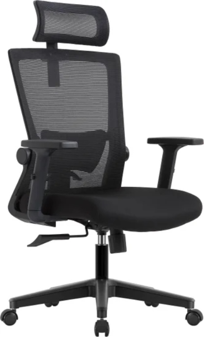 Кресло компьютерное EVOLUTION ErgoLine 1 - фото1