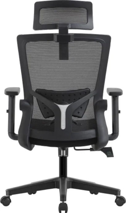 Кресло компьютерное EVOLUTION ErgoLine 1 - фото2