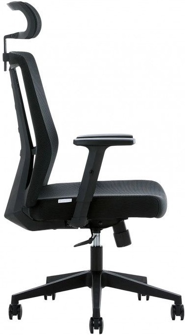 Кресло компьютерное EVOLUTION ErgoLine 3 (черный) фото-3