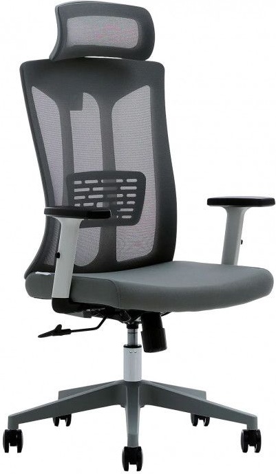 Кресло компьютерное EVOLUTION ErgoLine 4 (серый) - фото1