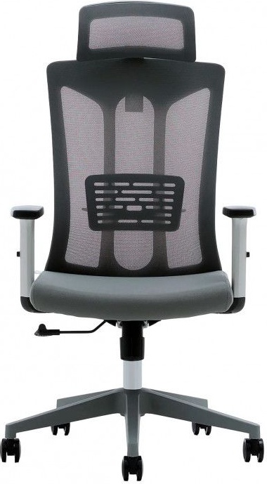 Кресло компьютерное EVOLUTION ErgoLine 4 (серый) - фото2