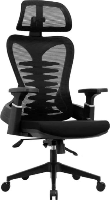 Кресло компьютерное EVOLUTION HarmonySpine - фото1