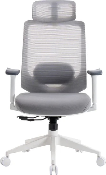 Кресло компьютерное EVOLUTION LumbarPro Elite (серый) - фото1