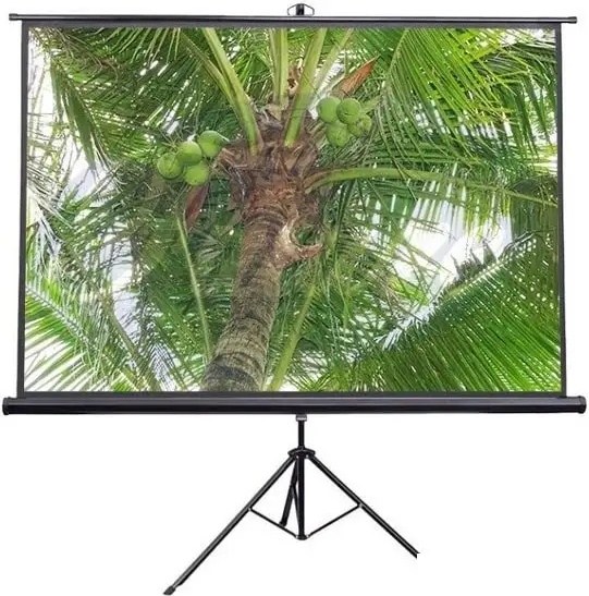 Экран на треноге Future Vision Tripod 200 (200x200см) - фото1