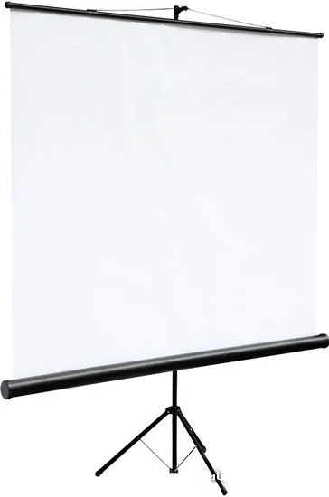 Экран на треноге Future Vision Tripod Cinema 220 (220x123,8см) - фото2