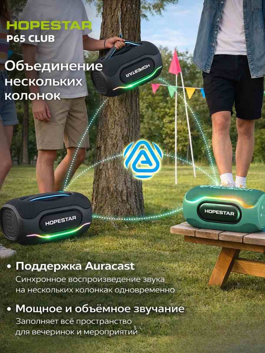 Колонка беспроводная Hopestar P65 Club фото-3