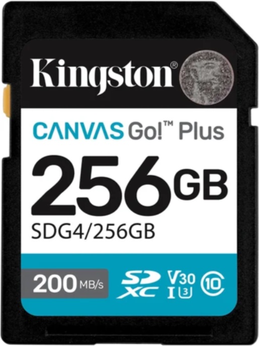Карта памяти SDXC Kingston Canvas Go Plus Gen4 SDG4 (256Gb) - фото1