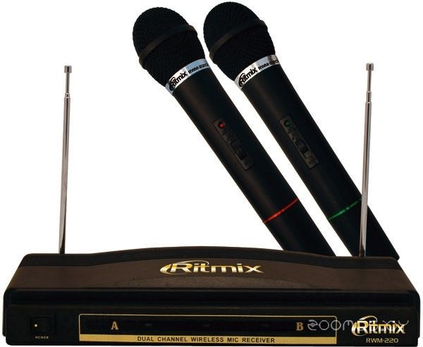Микрофон Ritmix RWM-220 - фото1