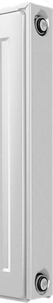 Радиатор Royal Thermo Compact C22-300-800 RAL9016 - фото2 Радиатор Royal Thermo Compact C22-300-800 RAL9016 - фото2