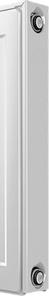 Радиатор Royal Thermo Compact C22-500-900 RAL9016 фото-3