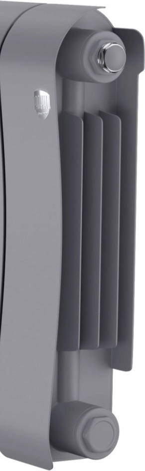 Радиатор Royal Thermo Infinity 300 Silver Satin - 12 секц. - фото2
