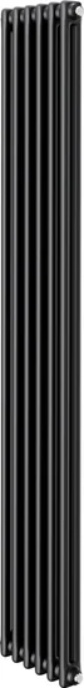 Радиатор Royal Thermo Insignia C2180 - 06 секц. RAL9005m - фото1