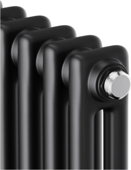 Радиатор Royal Thermo Insignia C2180 - 08 секц. RAL9005m фото-3
