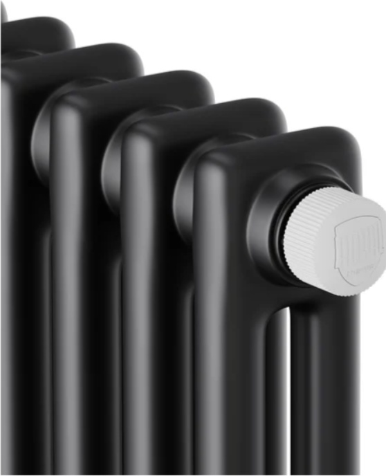 Радиатор Royal Thermo Insignia VC2180 - 12 секц. RAL9005m фото-3