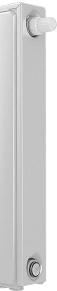 Радиатор Royal Thermo Ventil Compact VC11-500-1100 RAL9016 фото-3