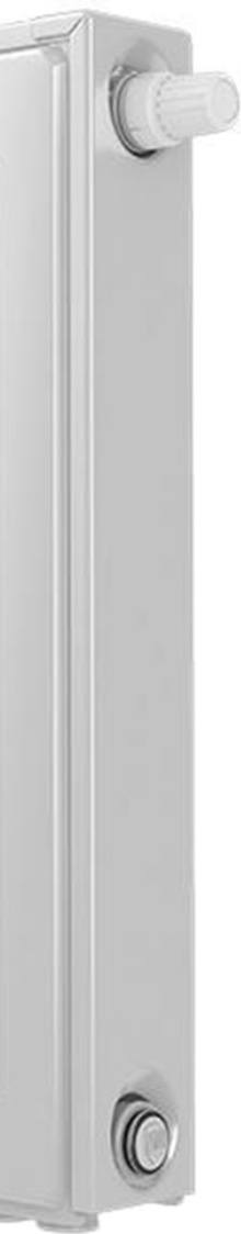 Радиатор Royal Thermo Ventil Compact VC22-300-500 RAL9016 фото-3