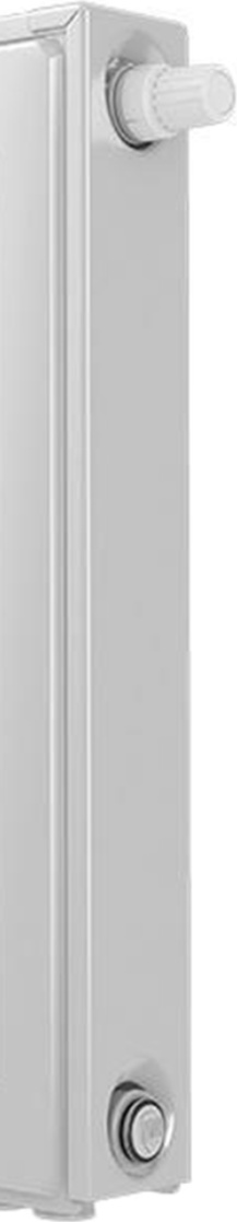Радиатор Royal Thermo Ventil Compact VC22-500-1000 RAL9016 - фото2